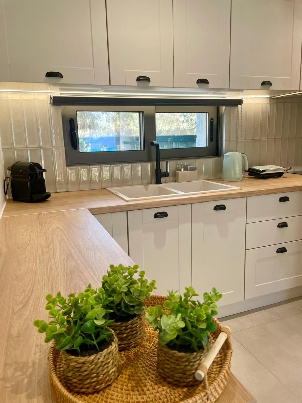 Yannis Retreat Apartman Lefkáda Kültér fotó